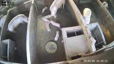 Be gone with you!...