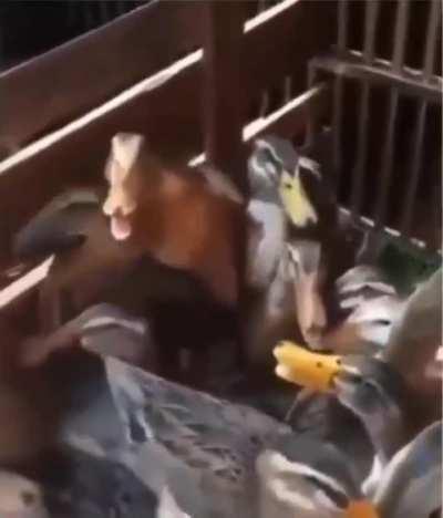 I couldnt think of a title.