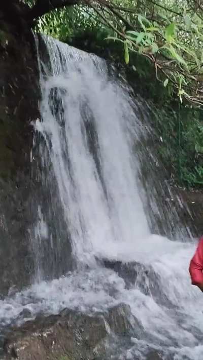 Beautiful Waterfall in Nainital Uttarakhand - Nainital Diaries