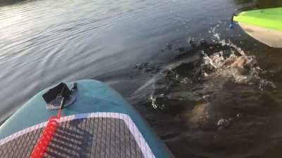 Mistakes were made...