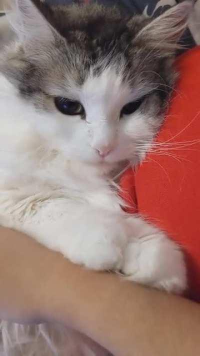 Those lil glances AHHHH ❤️❤️❤️