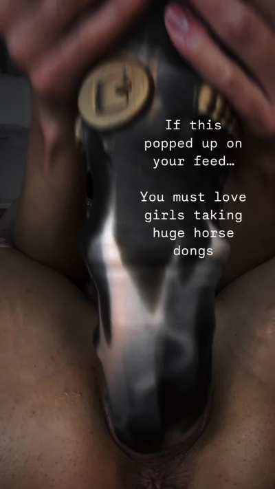 When the Horse Dildo is slowly becoming your daily dildo
