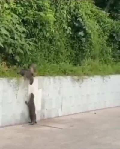 Hey guys don't let me back !