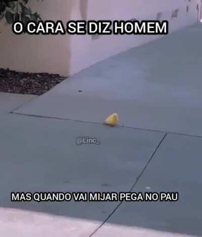 Todo o homem é assim mesmo