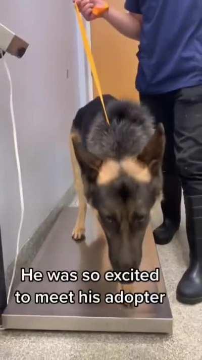 Wish Them All The Best.. GIF by Moni Mokshith