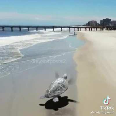 I hope everyone’s day is good