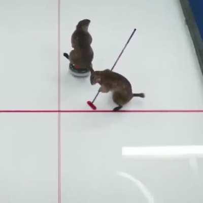 Just to make you smile!