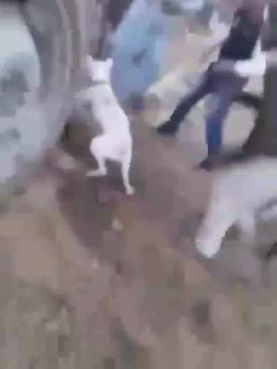 Chaos resolved with a bigger chaos