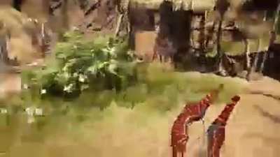 Stealth Kills- Kapal Outpost Stealth Liberation; Expert Difficulty Xbox One