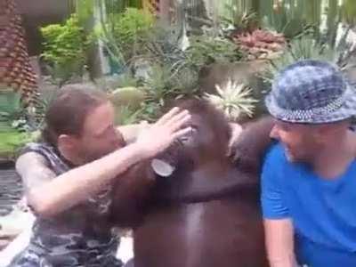 Libleft, Libcenter, and Libright just vibing