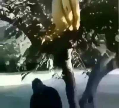 An uninteresting title lol