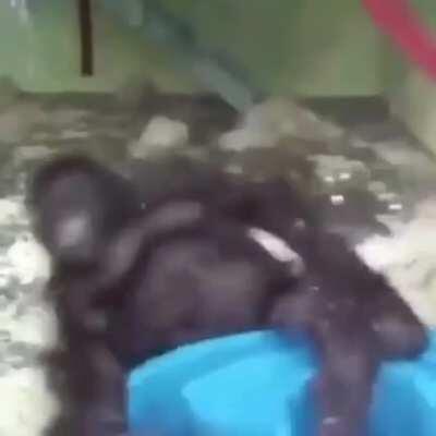 NOOOOOOOOOOOOOOOOOOOOOOOOOOOOO