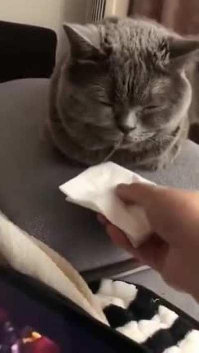 Must be a really good dream