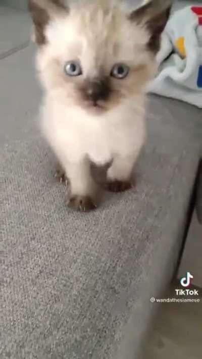 I’ve said my piece