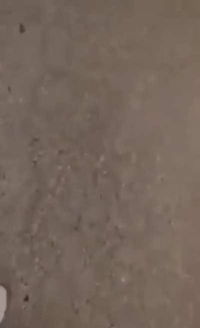 Taking a drink while riding a motorbike