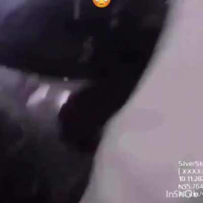 Cement truck hits bridge, bridge hits car