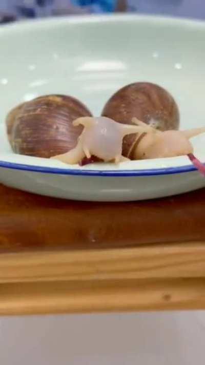 Nom nom awwwtf my brain