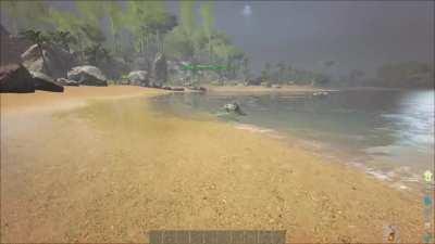 frog, that's a frog.