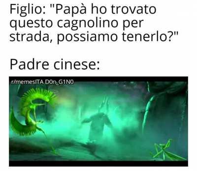 Questo post è un cane