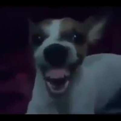 funyn meme!!1!1!😂😂😎😎