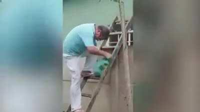 Man tries to remove wasp nest with plastic bag