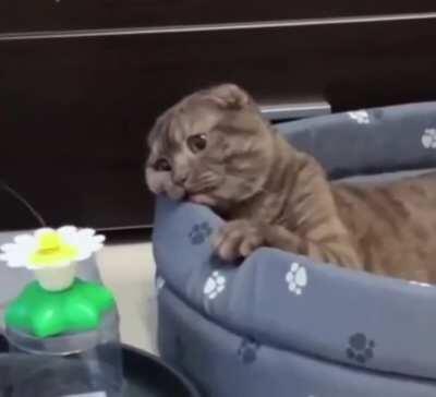 She is in very sad...