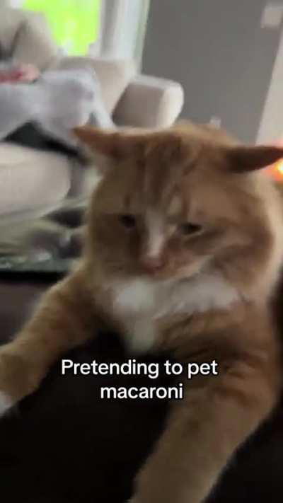 Airplane ears activated!