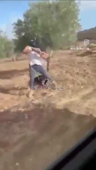 مستوطن إسرائيلي ملثم يعتدي على امرأة فلسطينية أثناء قطفها الزيتون من أرضها برفقة عائلتها في بلدة المغير شمال رام الله .