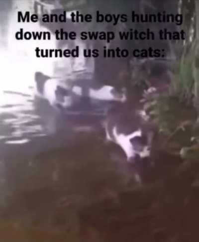 Me and my party of adventurers, about 430 years ago