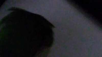 Que coisa fofa esse meu pássaro