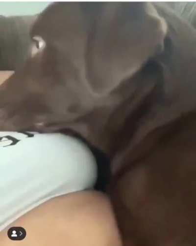 I swear I didn't mean to, I just yawned!