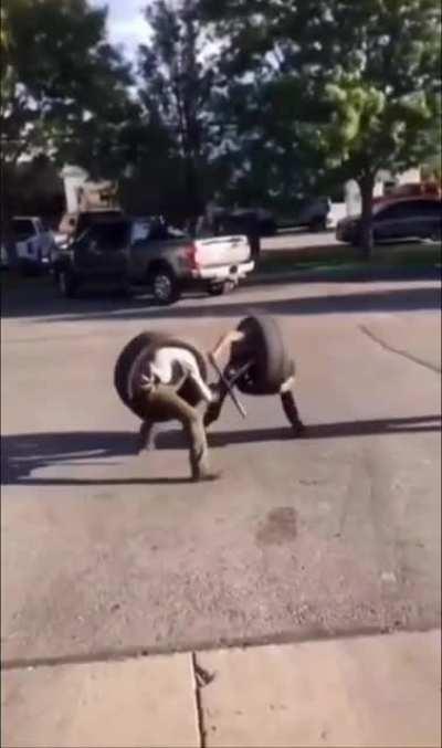 an incredible clash of swordsmen