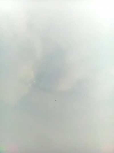 Неправильные пчёлы!