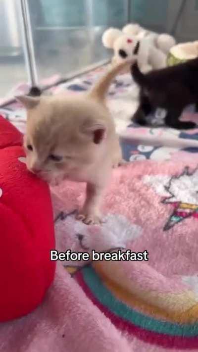 I'm exactly the same before every meal !