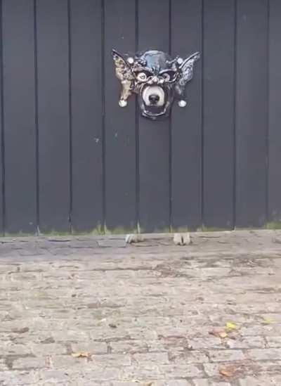 The Council of Good Bois will decide your fate