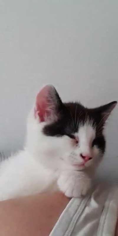 Little Zeus explaining how tired he is