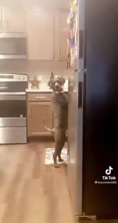 Why yes I am doing dishes and I have casserole in the oven.