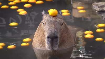 So this is how they train to be taxi drivers!