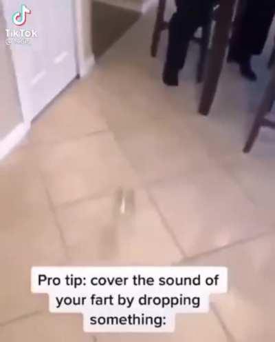 SLPT: Cover a fart by dropping something