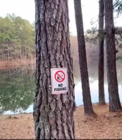 No sitting while fishing 🎣