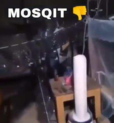 Mosquitos were harmed in the production of this film 