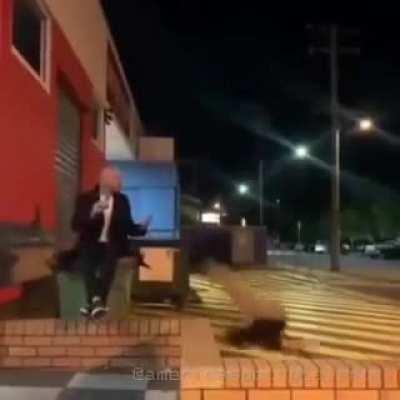 Hardcore Parkour, Day One, No Training