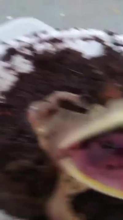 Terrifying battlecry