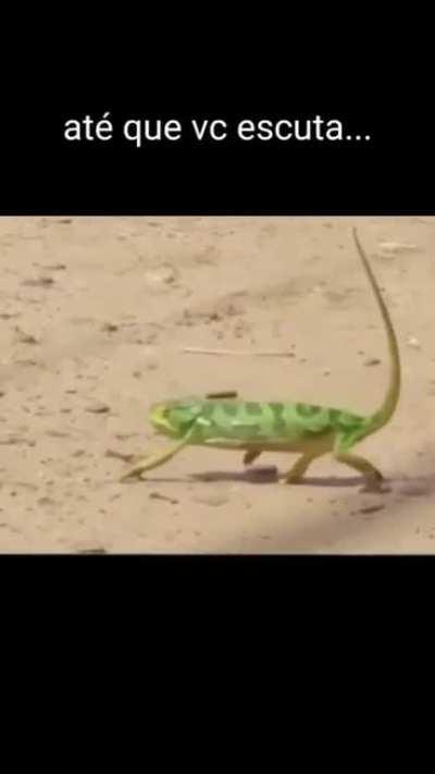 Pov usado incorretamente como sempre 