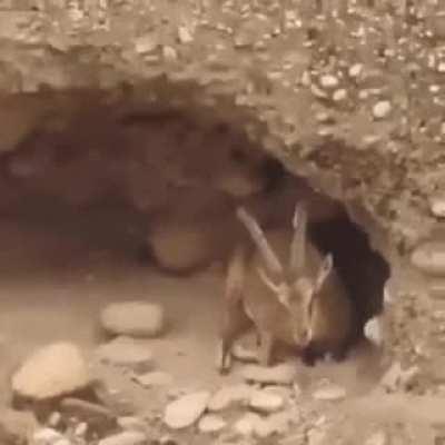 Wonderful camera work