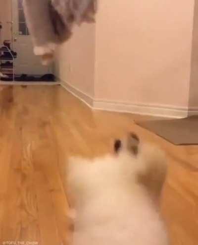 Yo, en la vida, en todo!