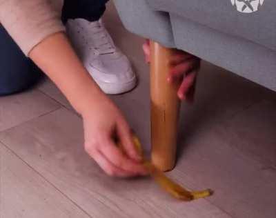 Moving sofas is hard. But when you’ve got four bananas