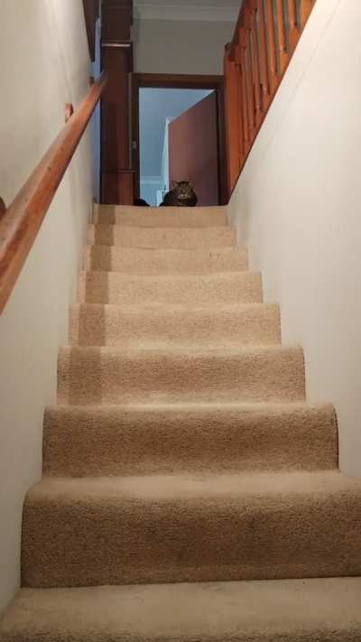 So very many things to complain about!