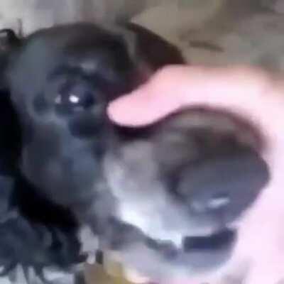 aweonasogang - Video #7648