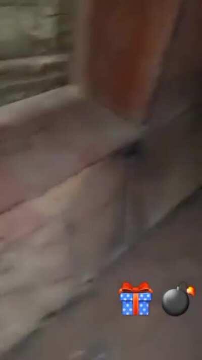 POV: inside a shitty technical